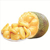 海南菠萝蜜肉 300g/份 香味浓郁 Q弹爽脆 商品缩略图1