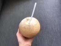 展卉烧烤椰子 商品图2