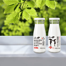 雪兰昆明记忆酸牛奶195g