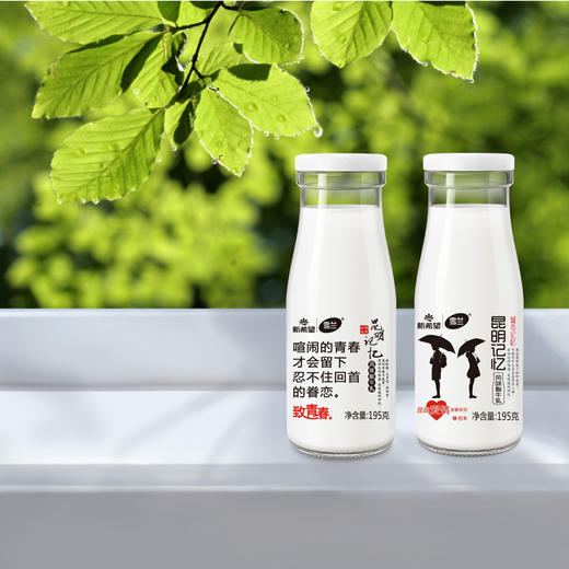 雪兰昆明记忆酸牛奶195g 商品图0