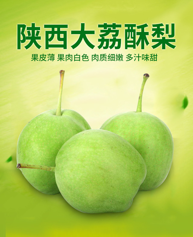 陕西大荔早酥梨5斤装