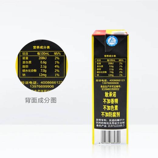 椰树椰汁 1升 商品图3