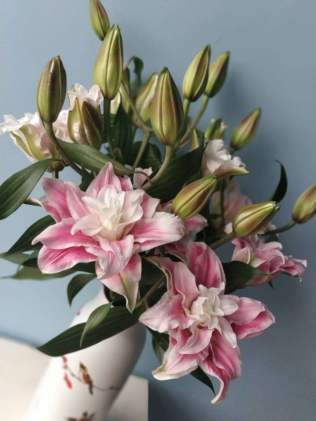 【昆明直发】3人团||59.9元\/3枝,多头重瓣百合:伊莎贝拉!中通\/顺丰可选,全国包邮