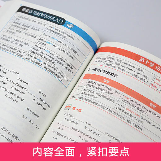 【青葫芦】零基础图解英语语法入门 图表解构一学就会 初高中适读 商品图2