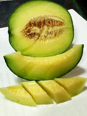 原产日本小仙女网纹瓜