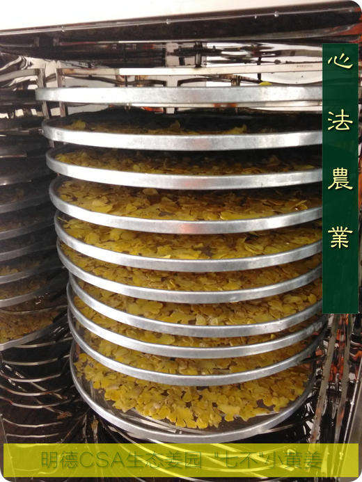 加工批发定制 姜片 浙江仙居/云南 小黄姜  针对理疗店交流点大宗定制 2百斤鲜姜或20斤姜片姜粉起定制 商品图4