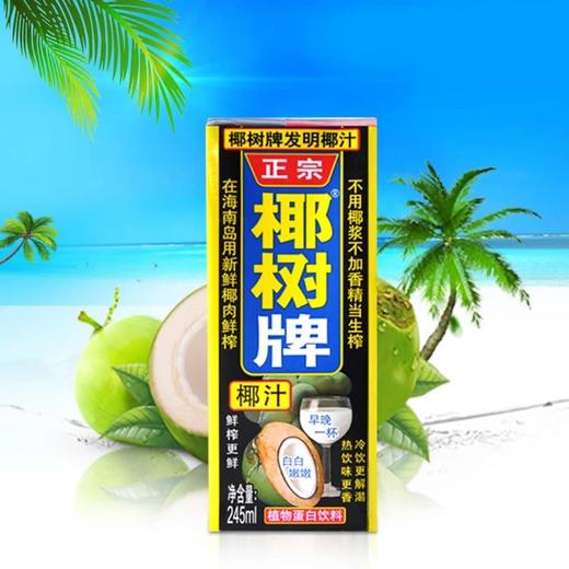 椰树牌 椰汁 245ml*6 商品图2