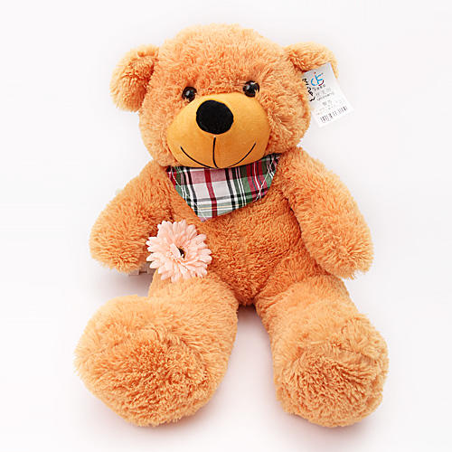 毛绒玩具熊靠垫公仔抱抱熊生日礼物女生F10 商品图0