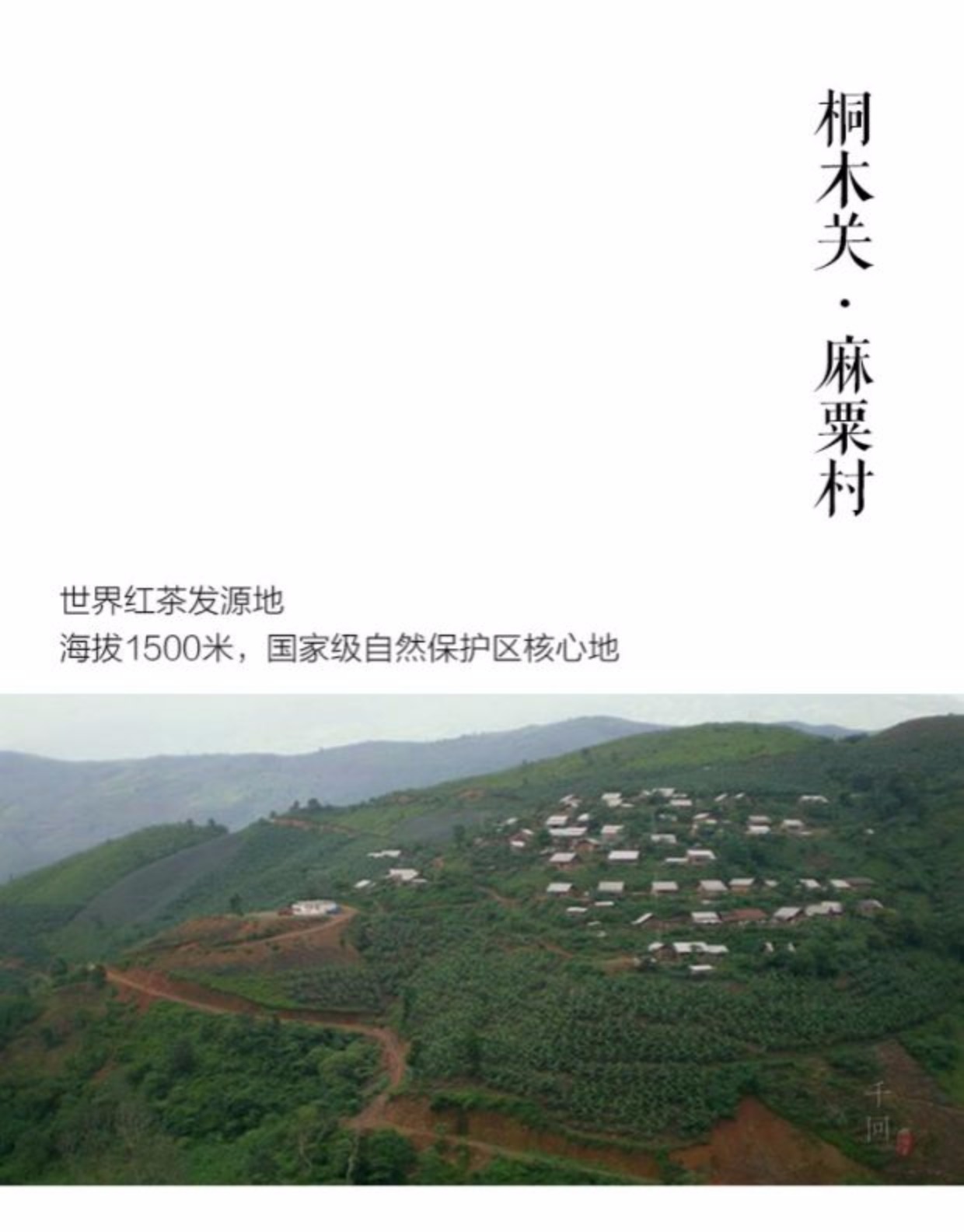 桐木关麻粟村,_大山谷图库