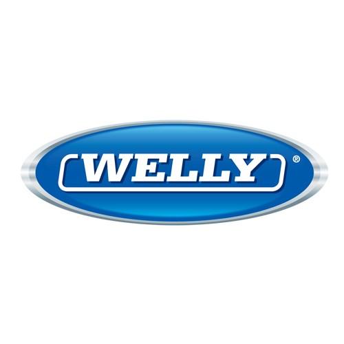 WELLY模型200318