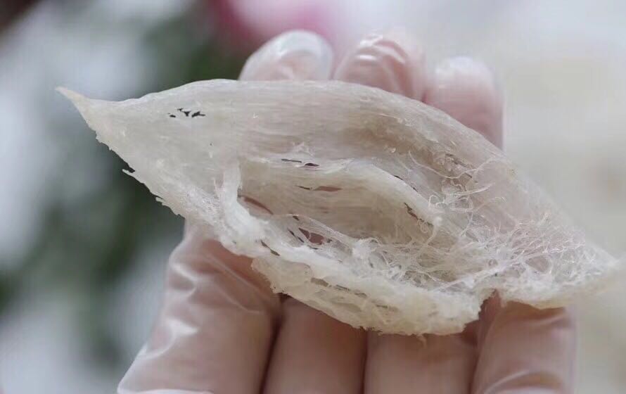 印尼进口小燕条 燕窝