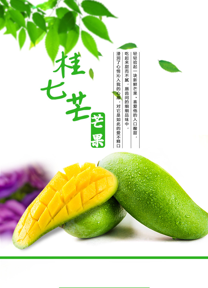 【肉多核小】广西桂七芒果4斤 (单果120-260g)【拍前请看温馨提示】