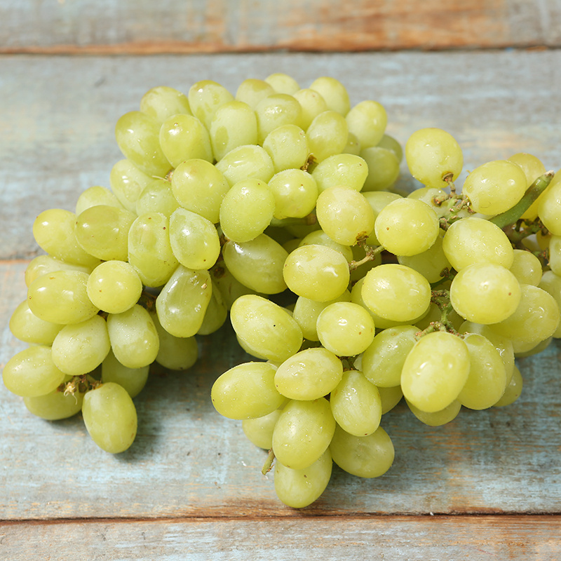 新疆吐鲁番无核白葡萄(2kg,顺丰 冰袋全国包邮)
