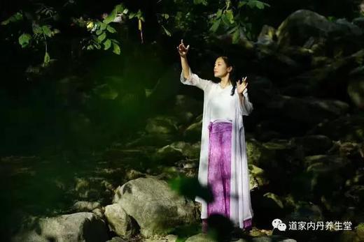 功法：正龙形 商品图0