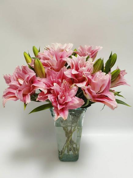 【昆明直发】【预售】||59.9元\/10朵起,重瓣百合:太平盛世!中通\/顺丰可选,全国包邮