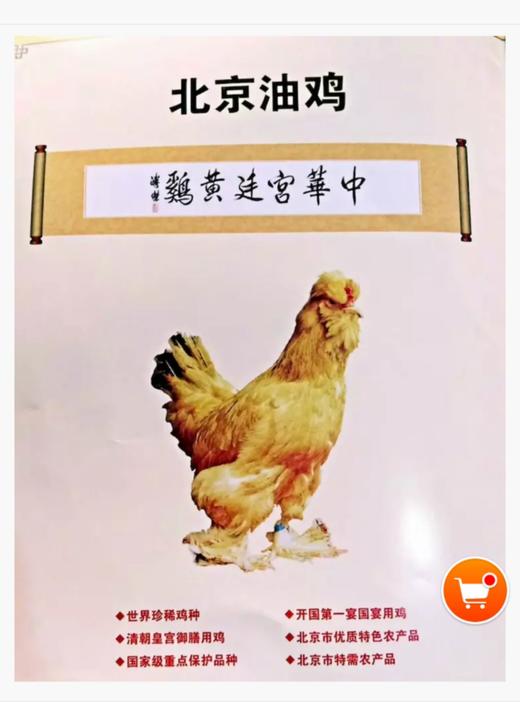 童子鸡 商品图3