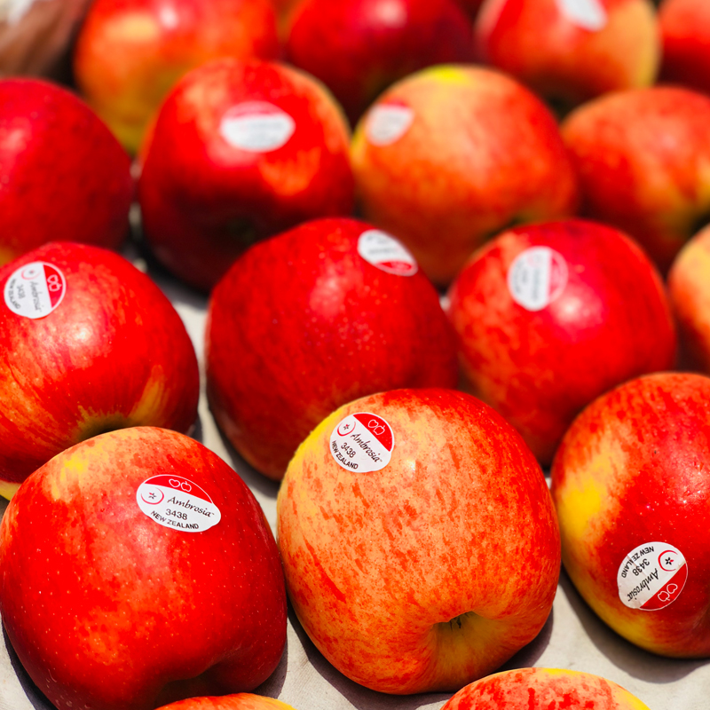 新西兰 | 神仙果 红颜粉嫩 清脆甜蜜 自然鲜活(10只装/5只装)