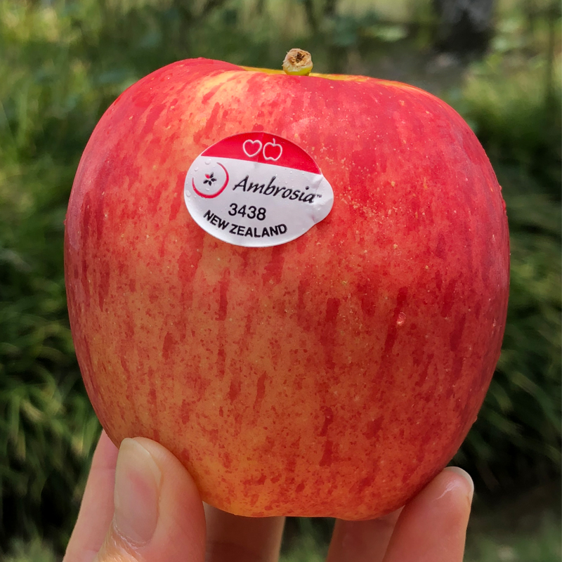 新西兰 | 神仙果 红颜粉嫩 清脆甜蜜 自然鲜活(10只装/5只装)