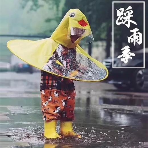 909-lq1494 夏天持续多雨季节来临!