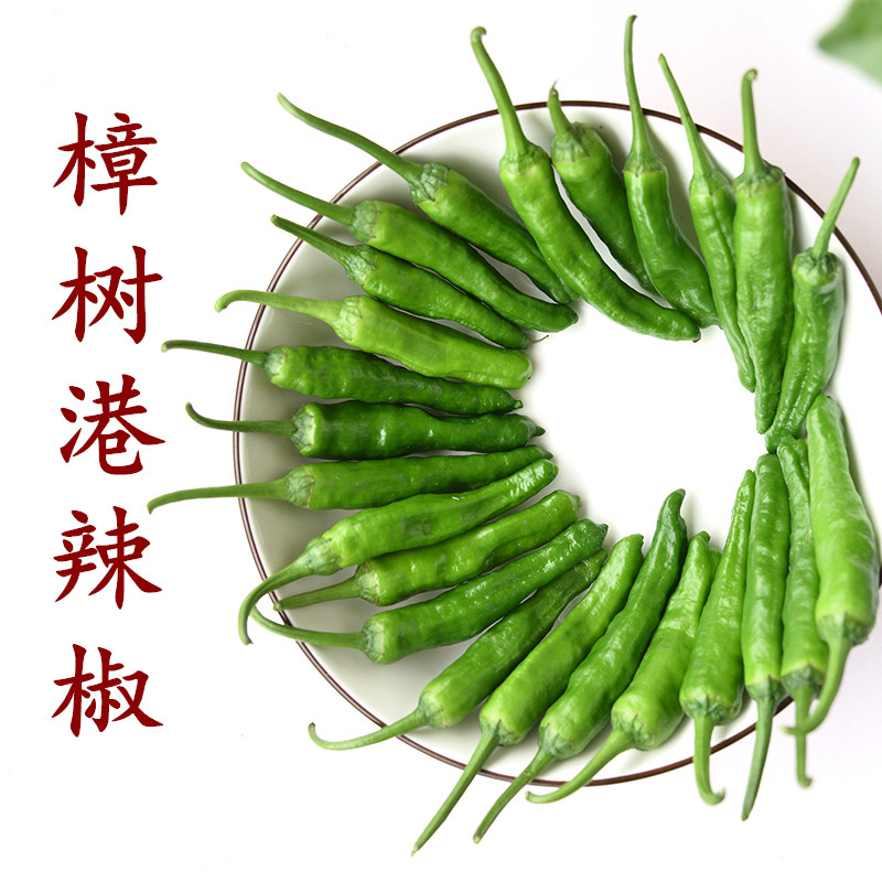樟树港,赣州港_大山谷图库
