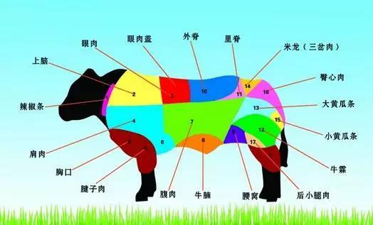 大黄瓜条  大黄瓜条牛肉位于牛后腿股外侧,沿半腱肌股骨边缘分割冻鲻