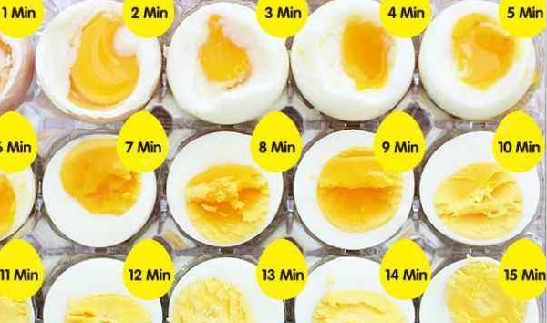 【罗宾博士】《暴走的鸡蛋科学实验课》10节