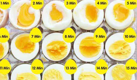 【罗宾博士】《暴走的鸡蛋科学实验课》10节