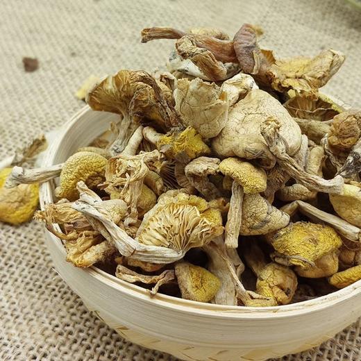 松益野生黄油蘑((大兴安岭，精选山珍))200g/盒 商品图4