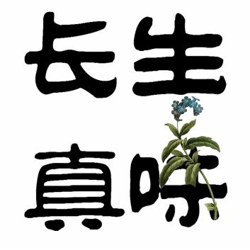 长生真味190725