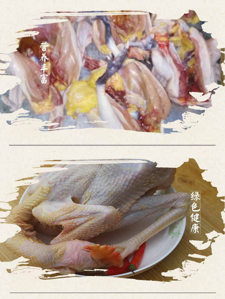 扬州仪征的鸡图片