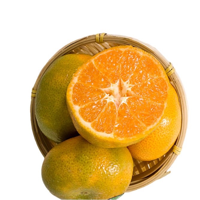 秘鲁进口应季柑橘约一斤 甜脆多汁,柔嫩爽口橘子(水果)
