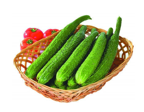 {每日新鲜} 黄瓜500g