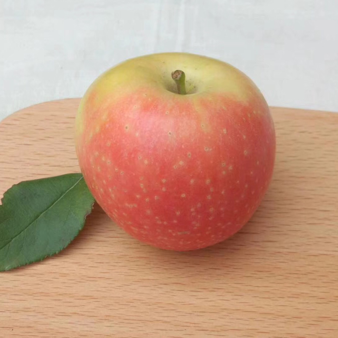 山西运城嘎啦苹果2018年第一只苹果5斤包邮不打蜡应季新鲜水果产地