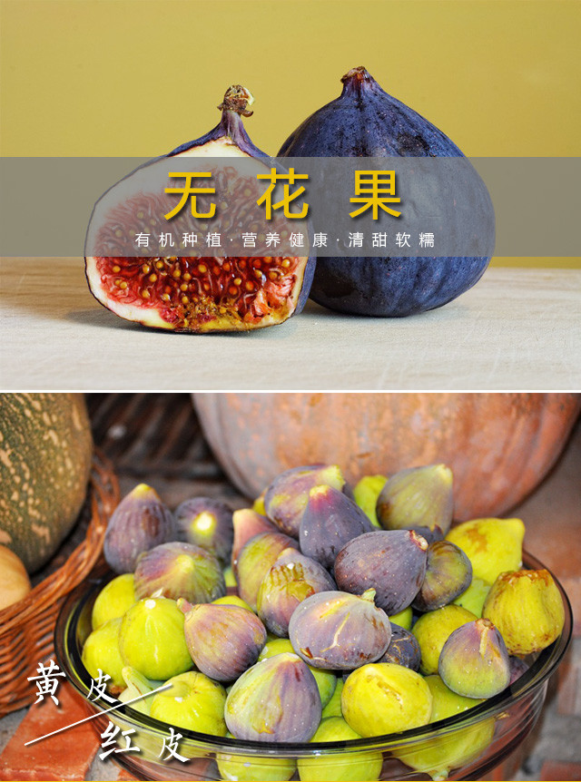 有机种植无花果 黄皮无花果 500g