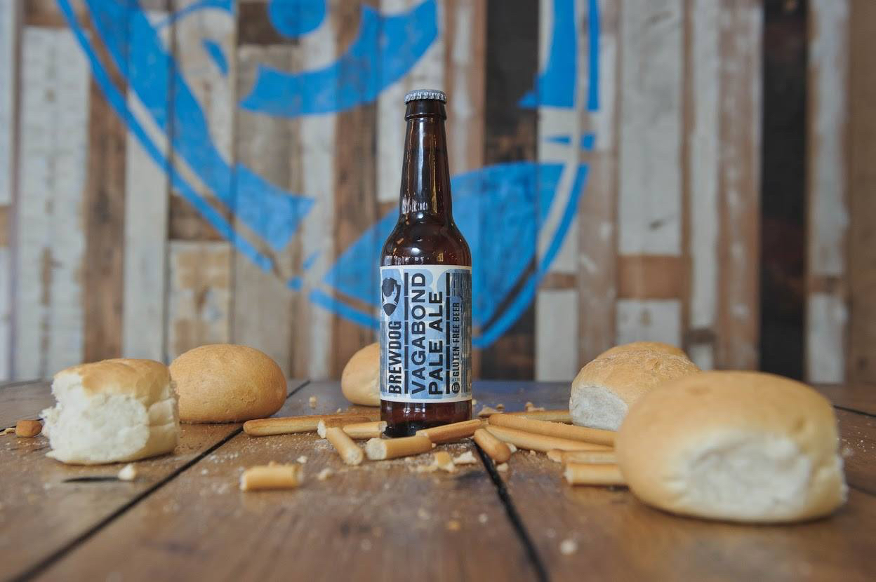 英国进口brewdog酿酒狗流浪者淡色艾尔330ml*6瓶