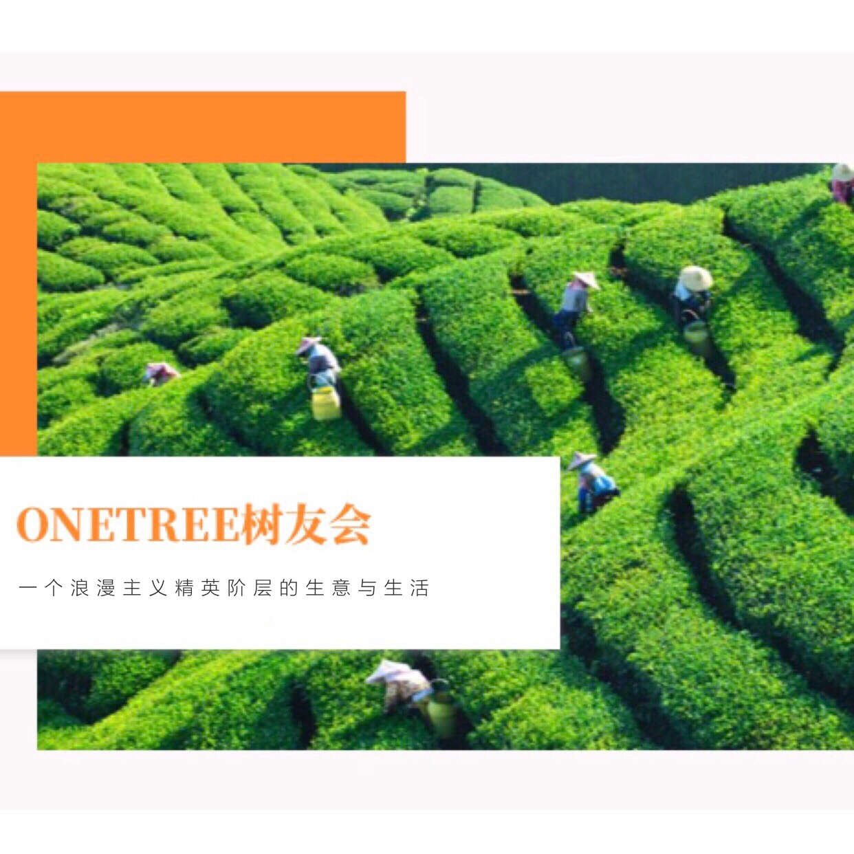 保险区块链联盟沙龙主题，区块链在保险行业的应用现状与展望