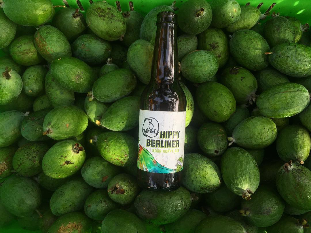 新西兰精酿 6瓶装八怪嬉皮士柏林酸艾尔啤酒330ml 酸小麦