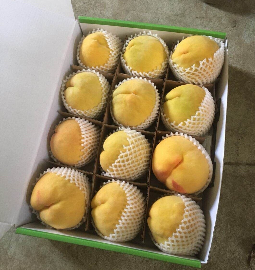 桃子虽好,也要适量,饭后食用,愿您健康[调皮]