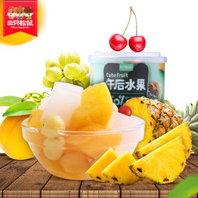 三只松鼠午后水果什锦罐头200g