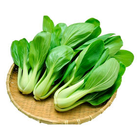 小青菜(1斤)