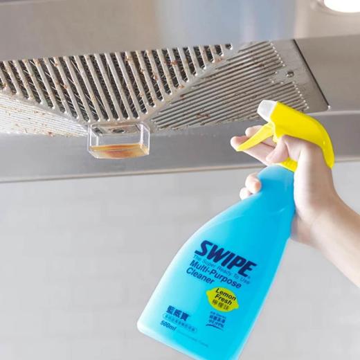 蓝威宝多用途清洁剂即用装柠檬味500克 商品图2