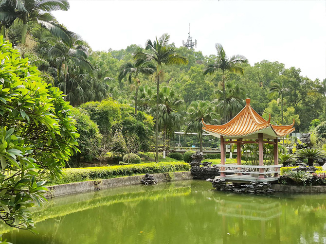 活動地點: 廣州番禺療養院(廣州市番禺區市橋禺山西路688號(大夫山