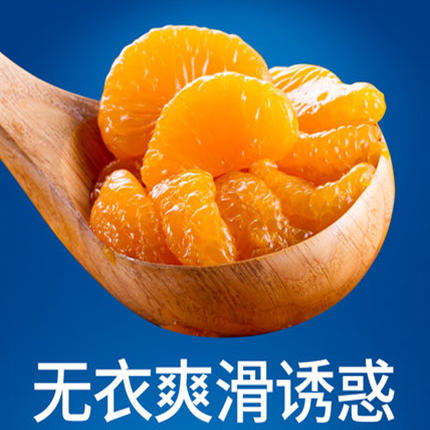 真心桔子罐头248g 商品图3