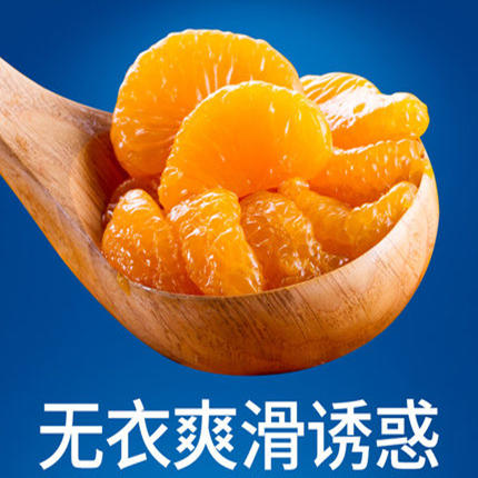 真心橘子罐头880g 商品图5