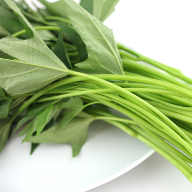 自产|有机种植 红薯梗 0.8斤