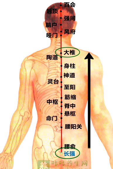 推揉背部可以达到缓解紧张的肌肉,舒经活络