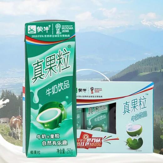 真果粒牛奶饮品(椰果果粒) 商品图0