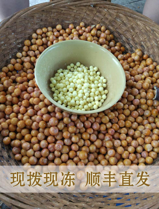 苏州地产手剥鸡头米 （特级米王）（2斤~6斤）江浙沪皖包邮 外省补运费差价 商品图4