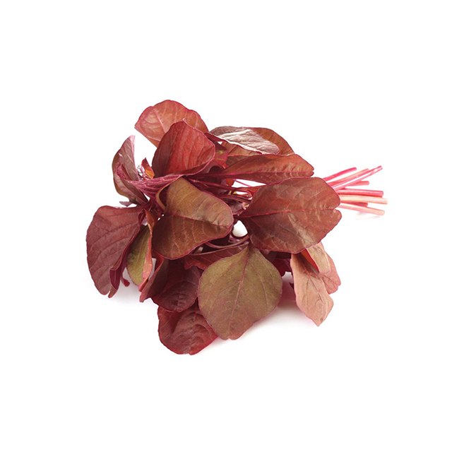 【预售】公主苋|全红苋菜350g有机种植|南京农业大学有机农业实验站