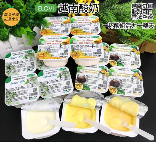 越南酸奶100g 商品图0